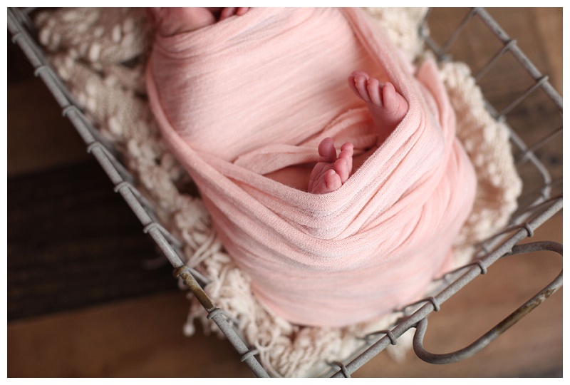 Annapolis Newborn Photographer