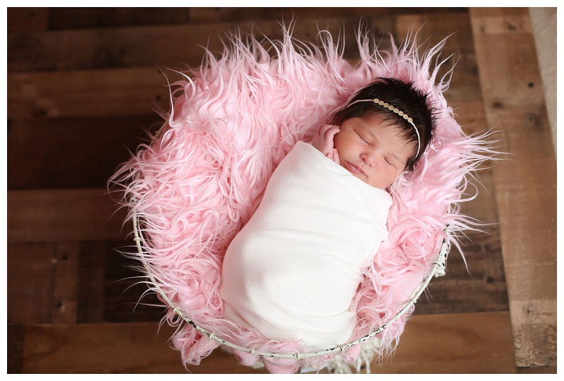 Annapolis Newborn Photographer