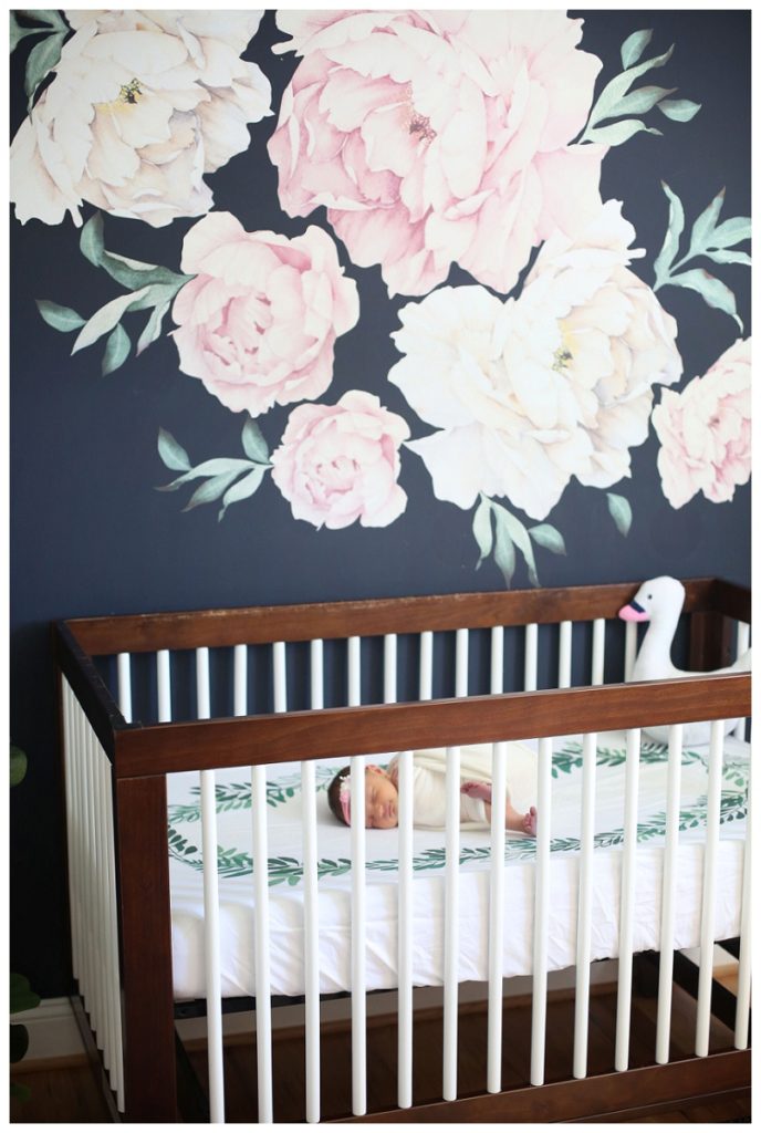 Annapolis newborn Photographer 