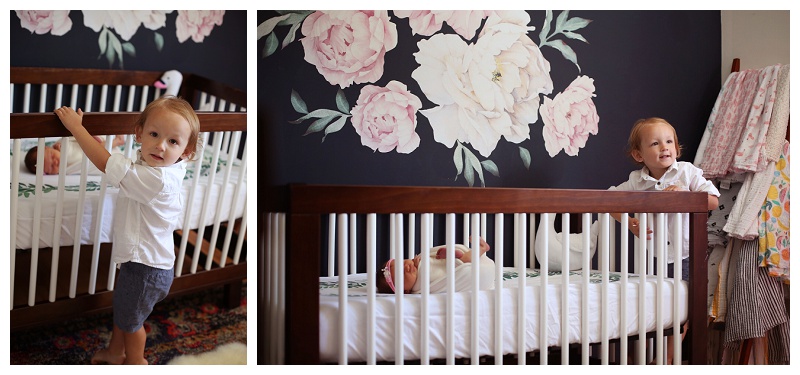 Annapolis newborn Photographer 