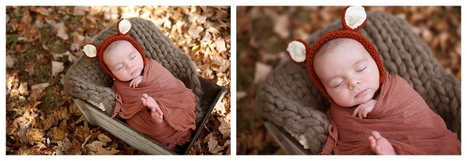 baltimore newborn photographer baby fox