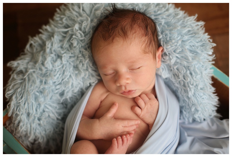 Baltimore Newborn Photographer 