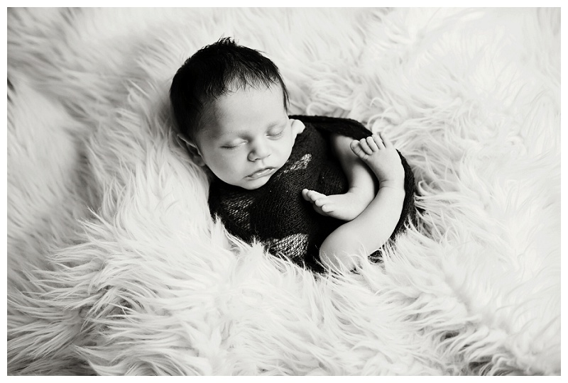 Annapolis Newborn Photographer