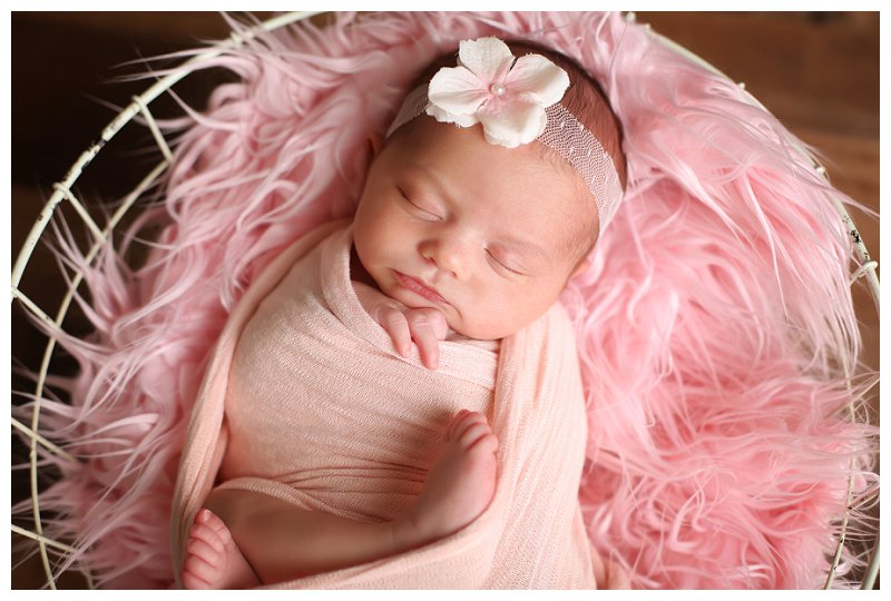 Annapolis Newborn Photographer 