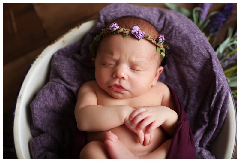 Annapolis Newborn Photographer 