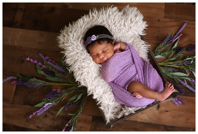Annapolis Newborn Photographer 