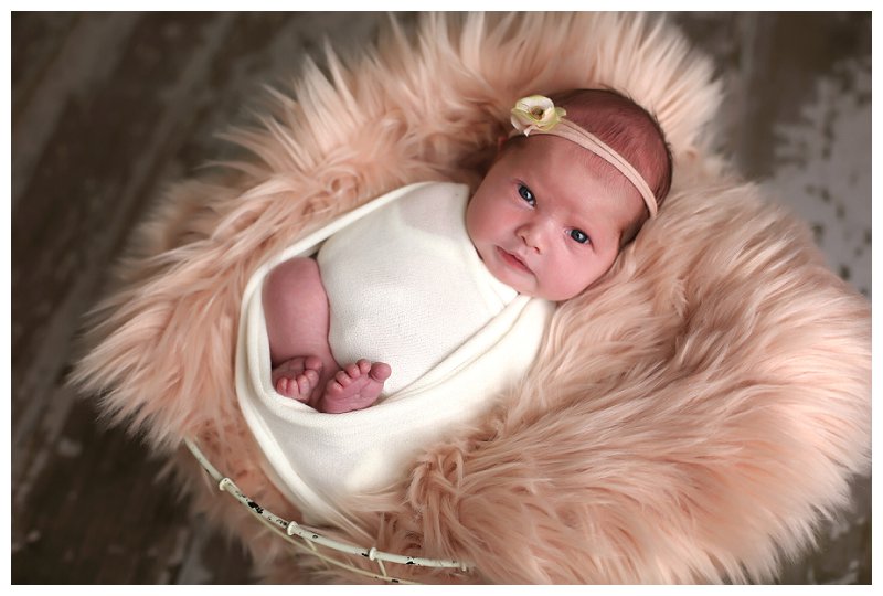 Annapolis Newborn Photographer