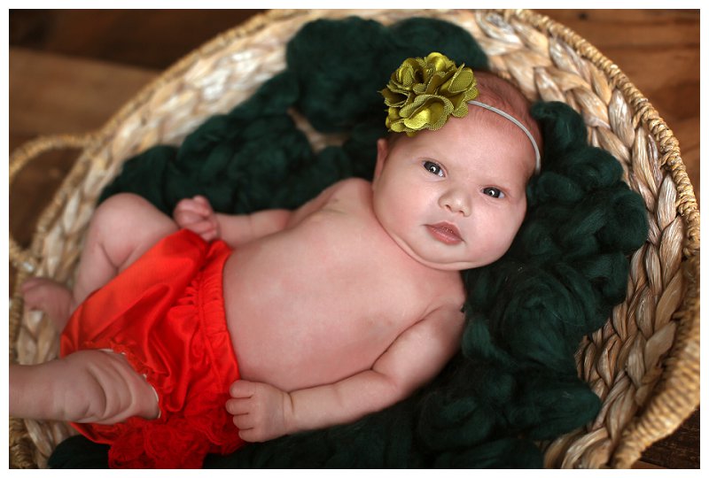 Annapolis Newborn Photographer