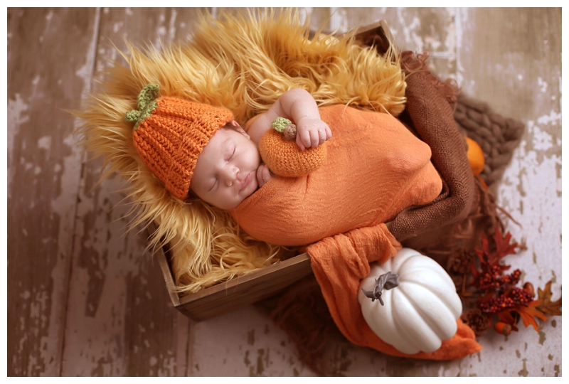Baltimore Newborn Photographer 