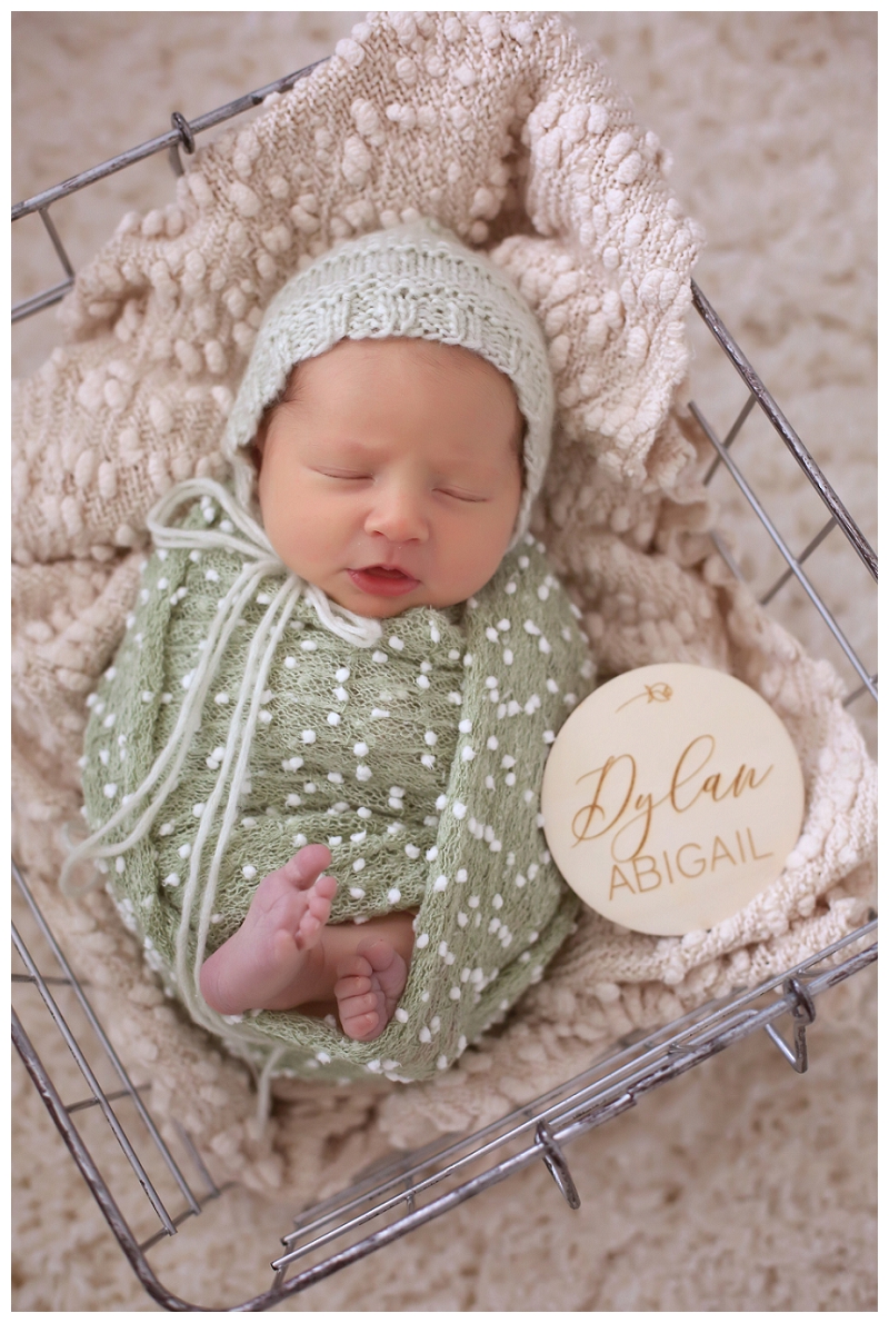 Annapolis Newborn Photographer 