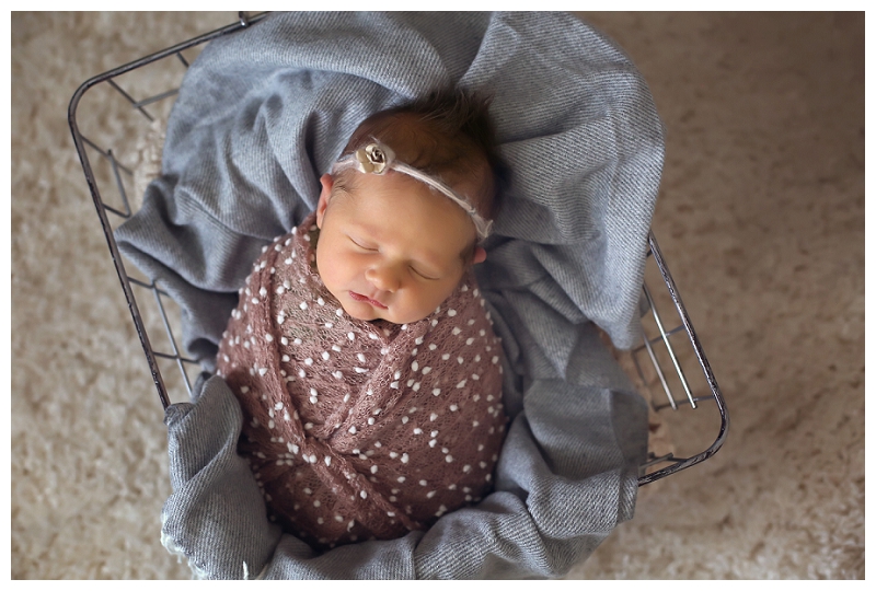 Annapolis Newborn Photographer 