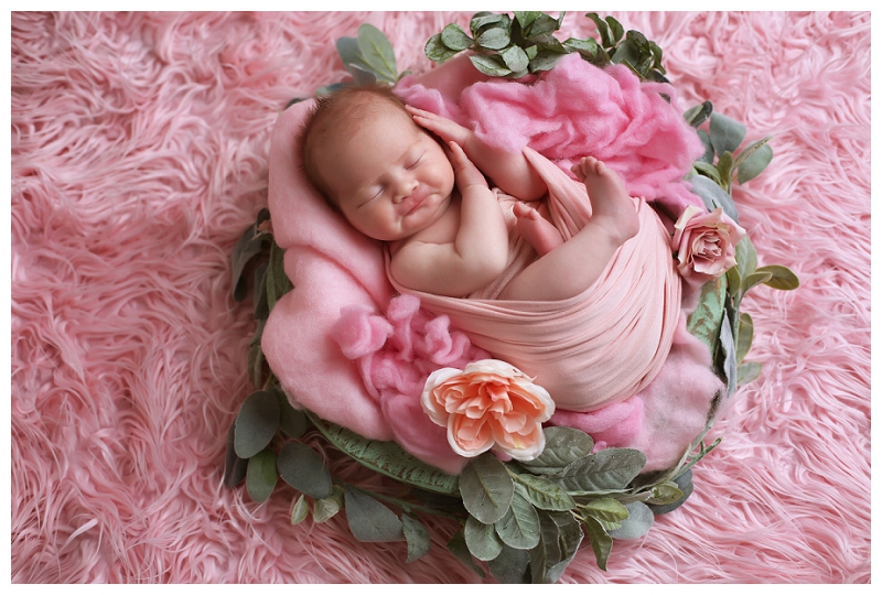 Annapolis Newborn Photographer 