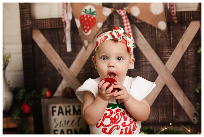 Baltimore family photographer Strawberry photos