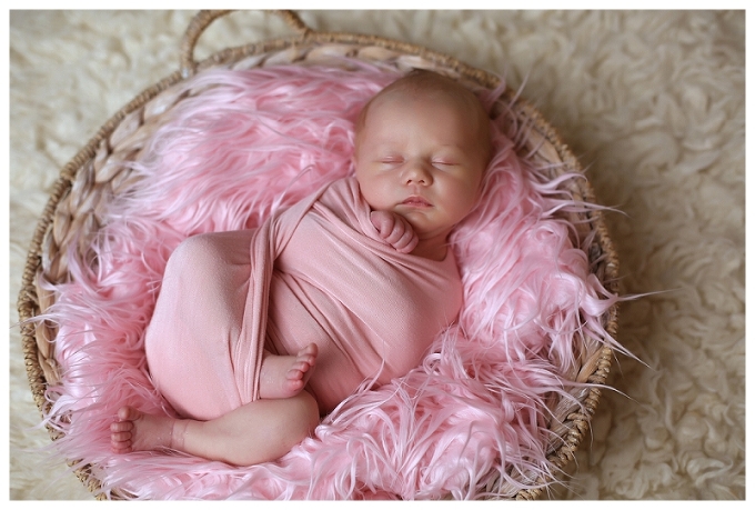 Annapolis Newborn Photographer 