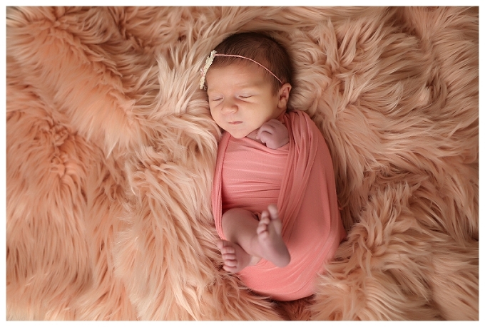 Annapolis Newborn Photographer 