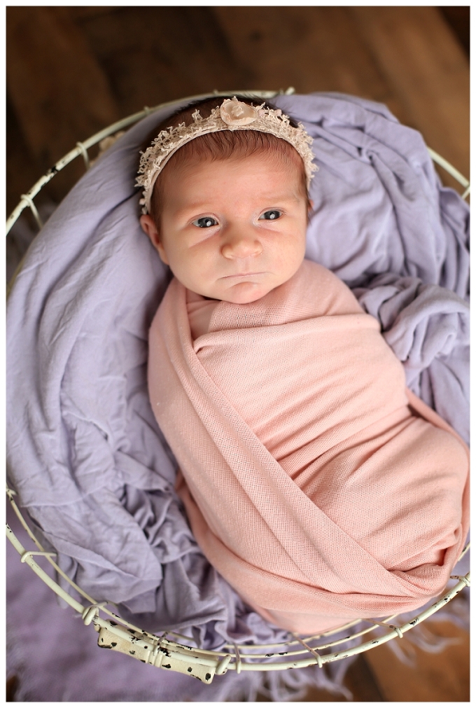 Annapolis Newborn Photographer 