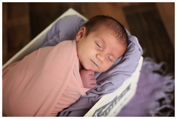 Annapolis Newborn Photographer 