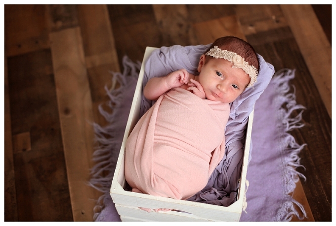 Annapolis Newborn Photographer 