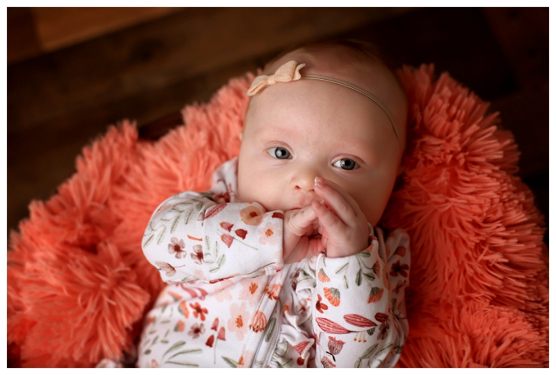 Baltimore Family Photographer