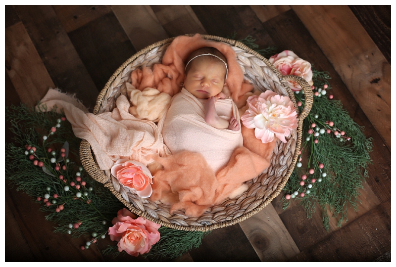Annapolis Newborn Photographer
