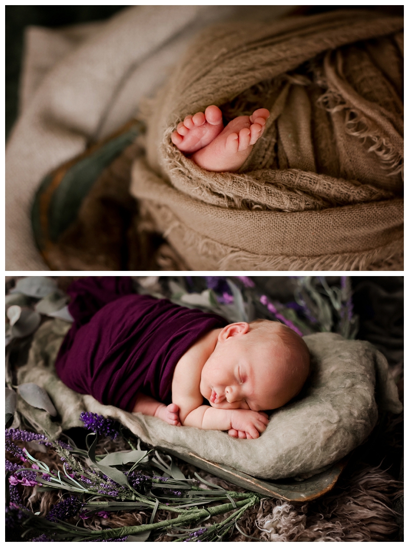 Baltimore Newborn Photographer 