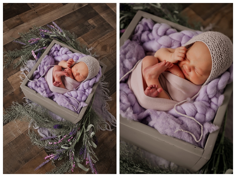 Annapolis Family Photographer 