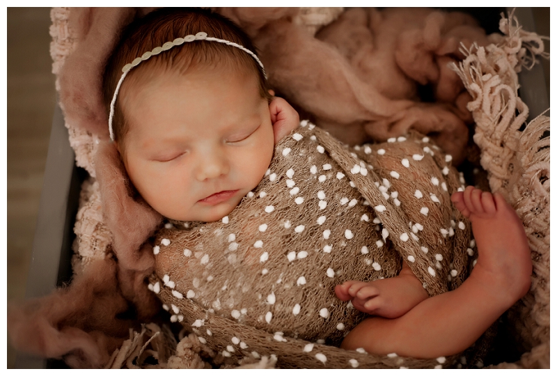 Maryland Family Photographer
