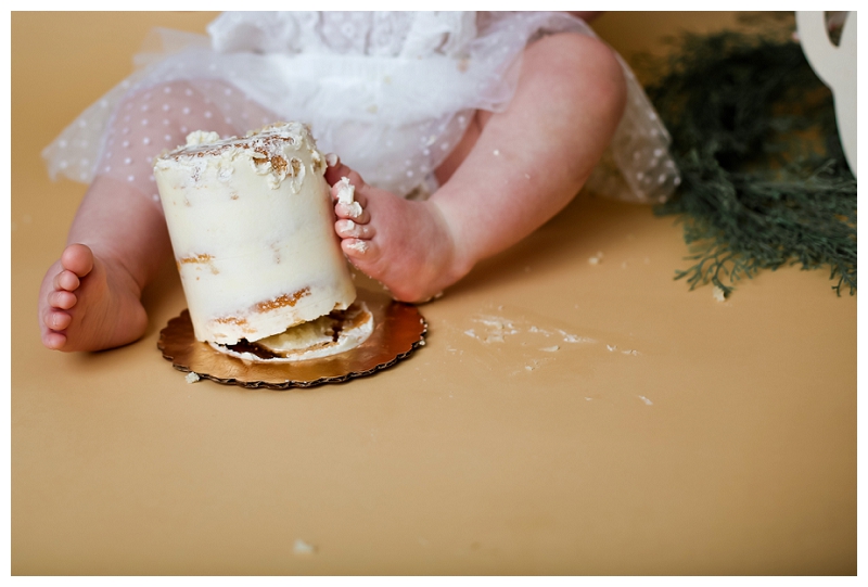 Annapolis Cake Smash Photographer