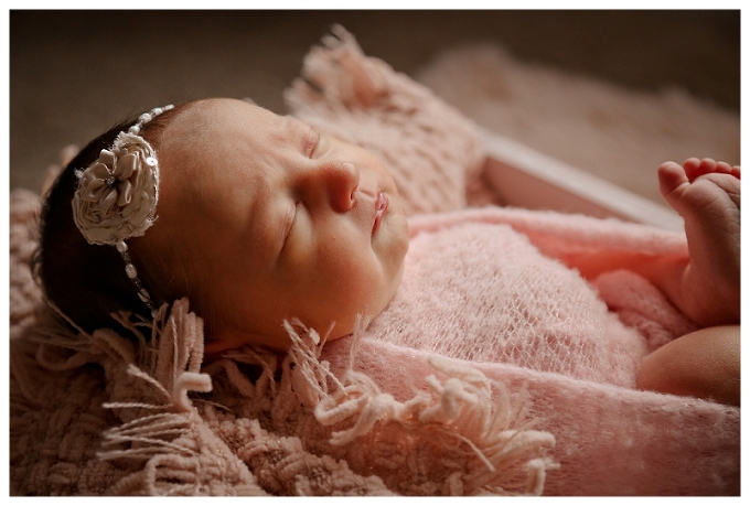 Annapolis Newborn Photographer 