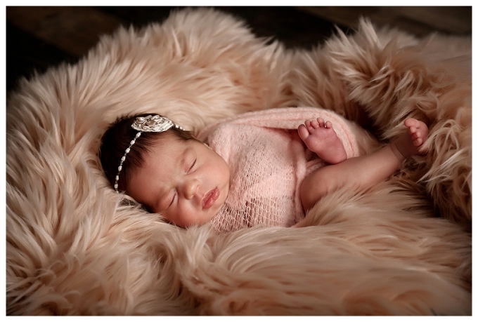 Annapolis Newborn Photographer