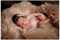 Annapolis Newborn Photographer