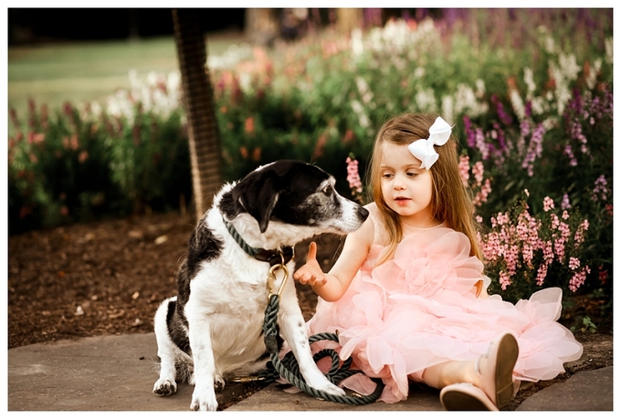 Baltimore Family Photographer 