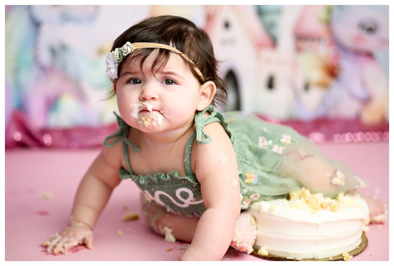 Baltimore Family Photographer